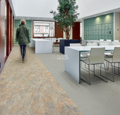 Forbo Marmoleum Decibel on Order 388935 cinder фото 3 | FLOORDEALER
